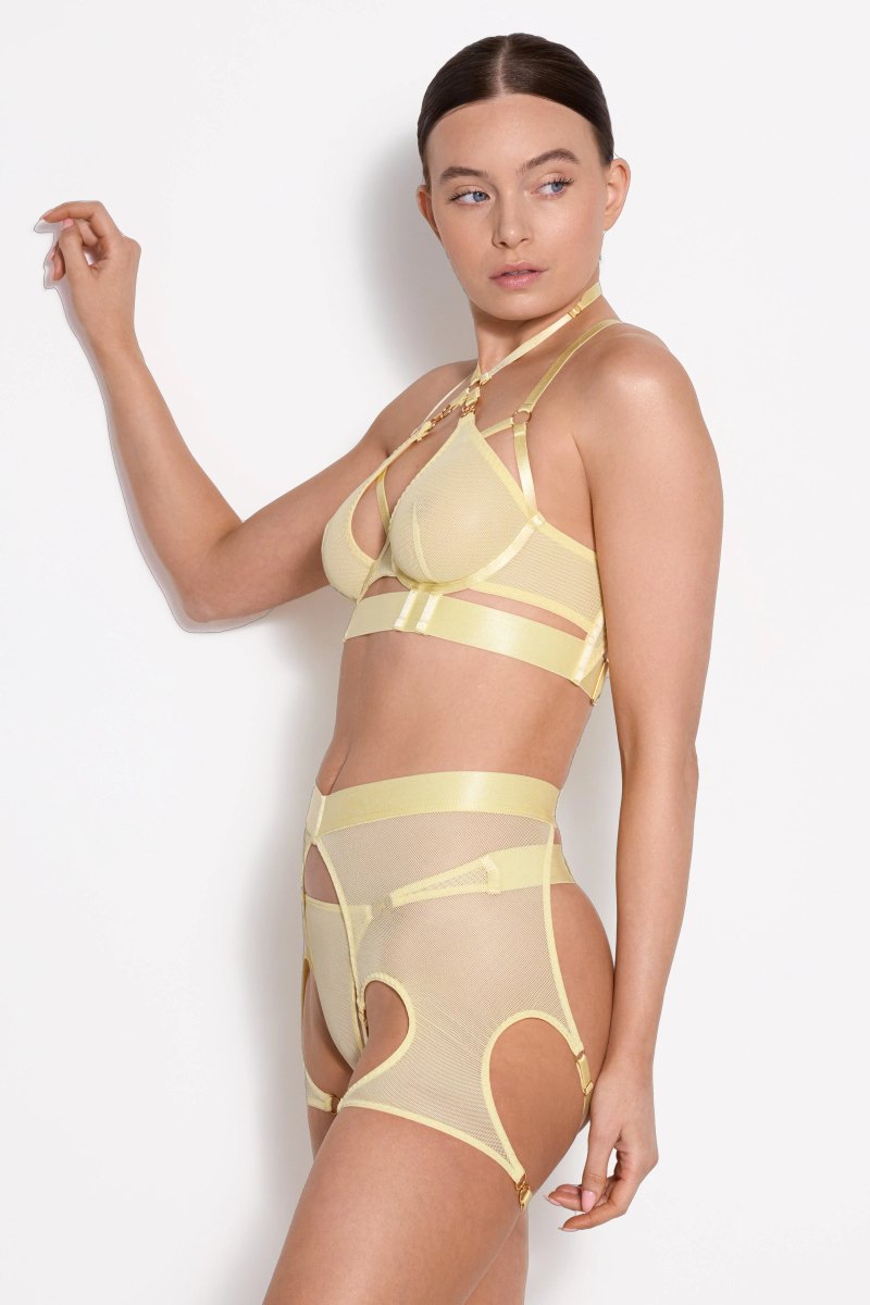 Bordelle Cadi Bodice Bra