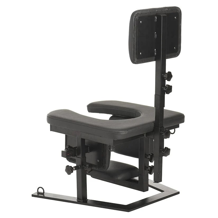 Master Series BDSM Throne Chair