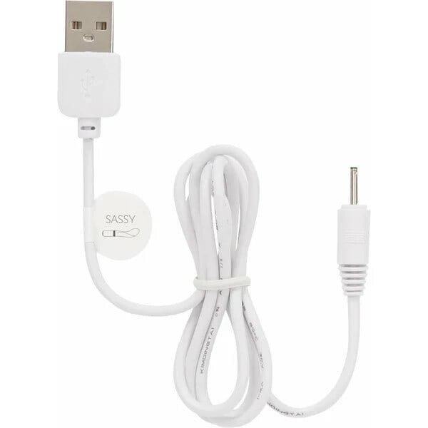 Pillow Talk Sassy Replacement Charging Cord