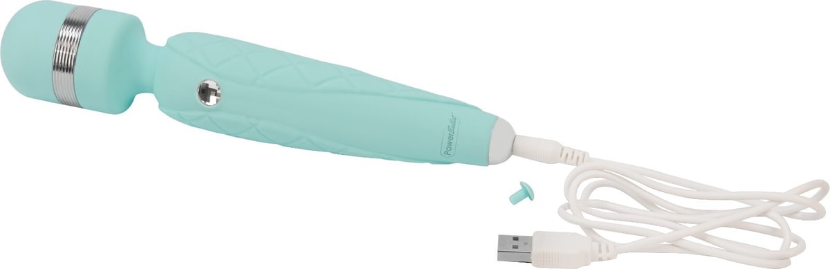 Pillow Talk Sassy Replacement Charging Cord